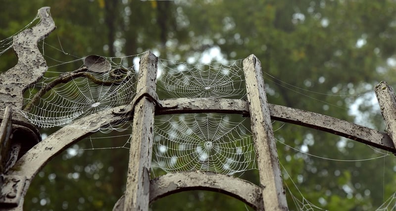 Time Machine Portal